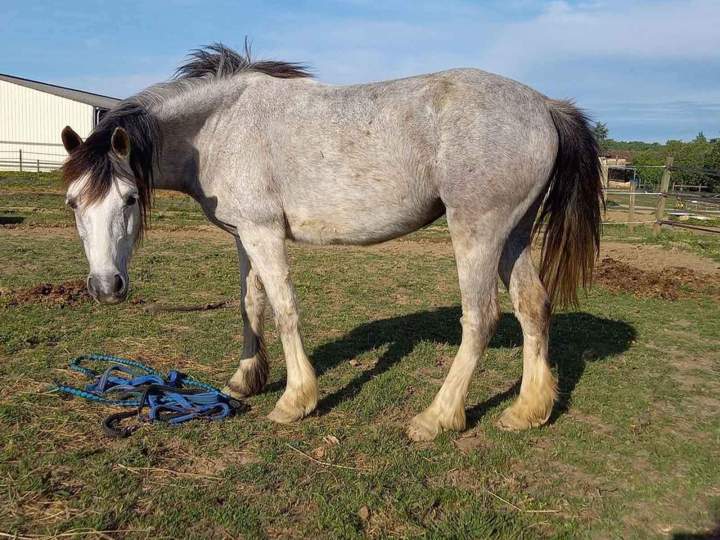 Evidance de Roquebère Condom