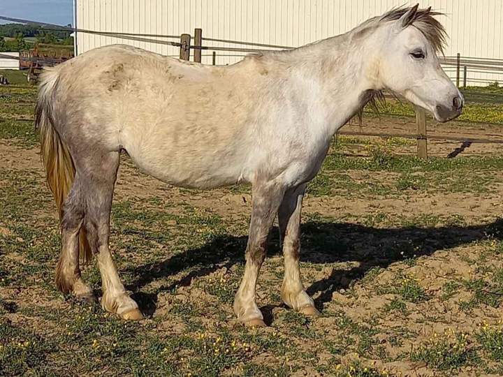 Désirée de Roquebère Condom