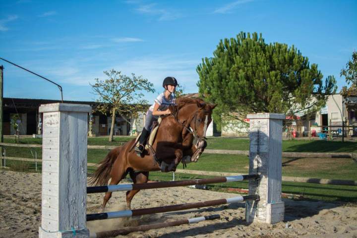 Activité équitation Condom