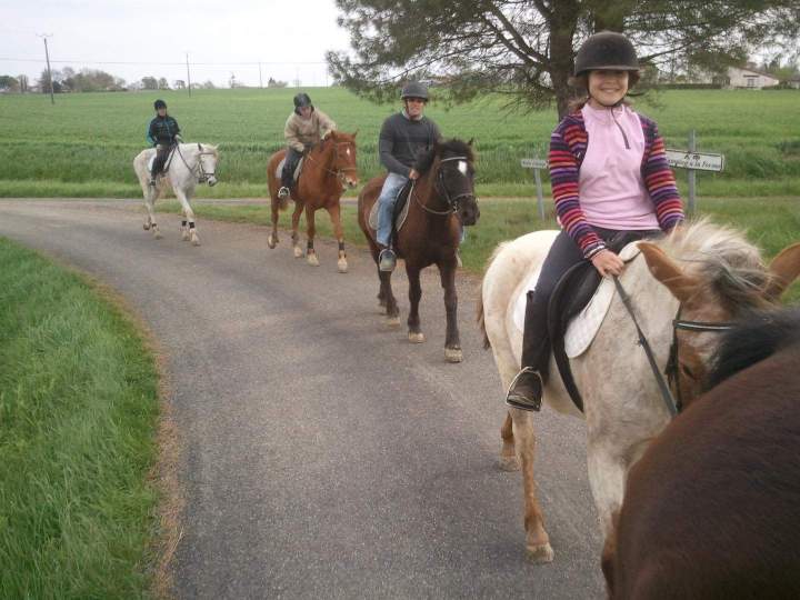 Des balades pour explorer le Gers à cheval.