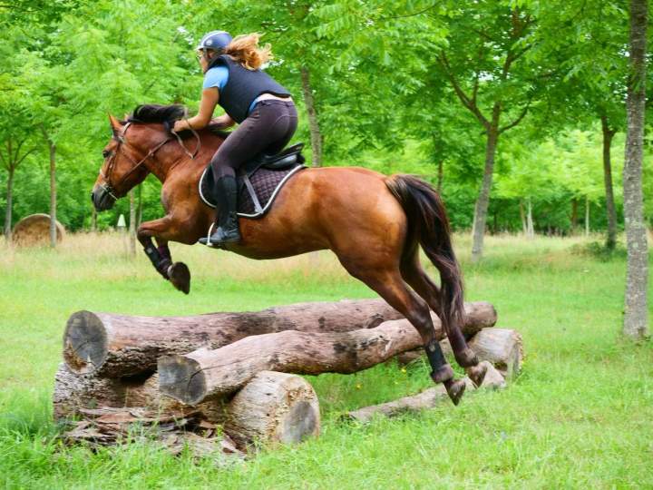Activité équitation Condom