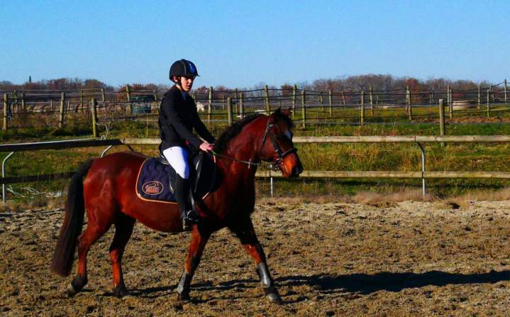 Dressage cheval Condom