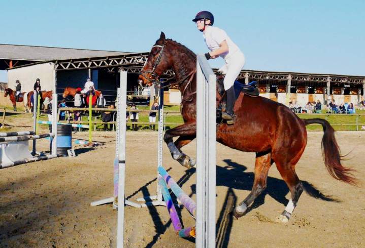 Loisirs équestres Condom