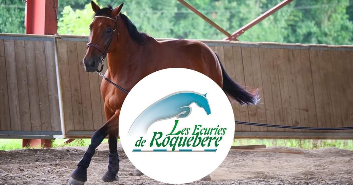 Les Écuries De Roquebère