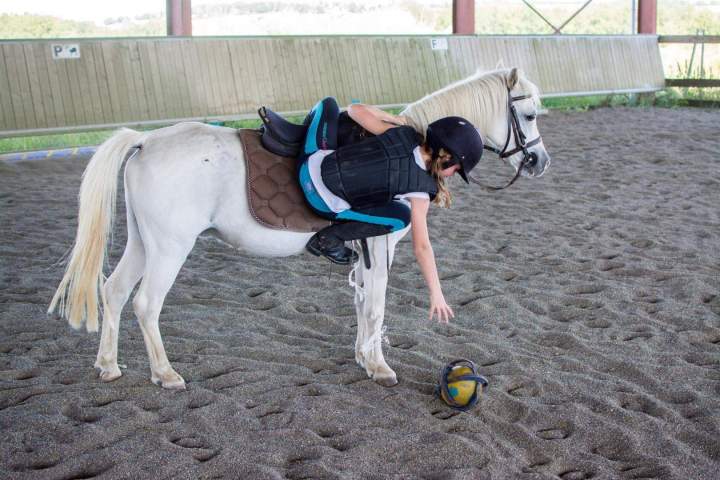 Loisirs équestres Condom
