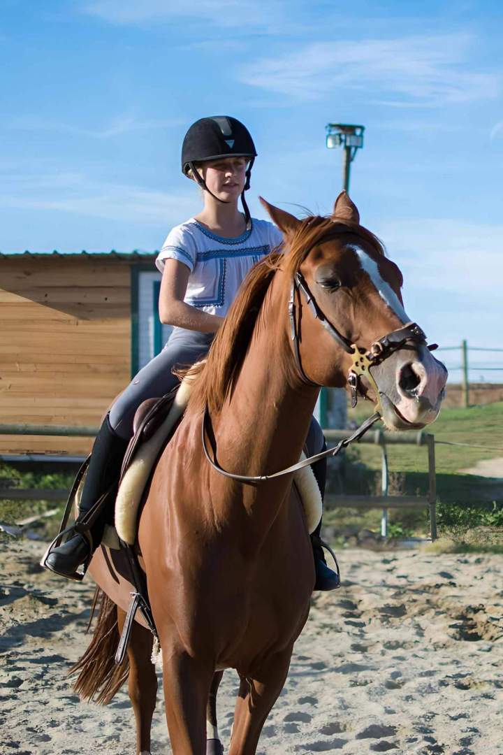Apprentissage équitation Condom